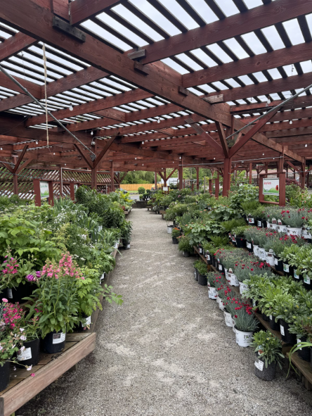 covered outdoor area of garden center with green potted plants for sale on either side of the aisle